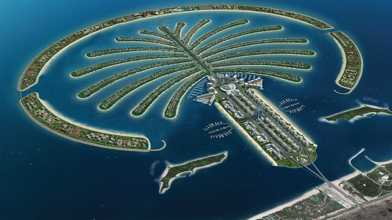 A 2000 Gallon Reef Tank on Dubai's Palm Island