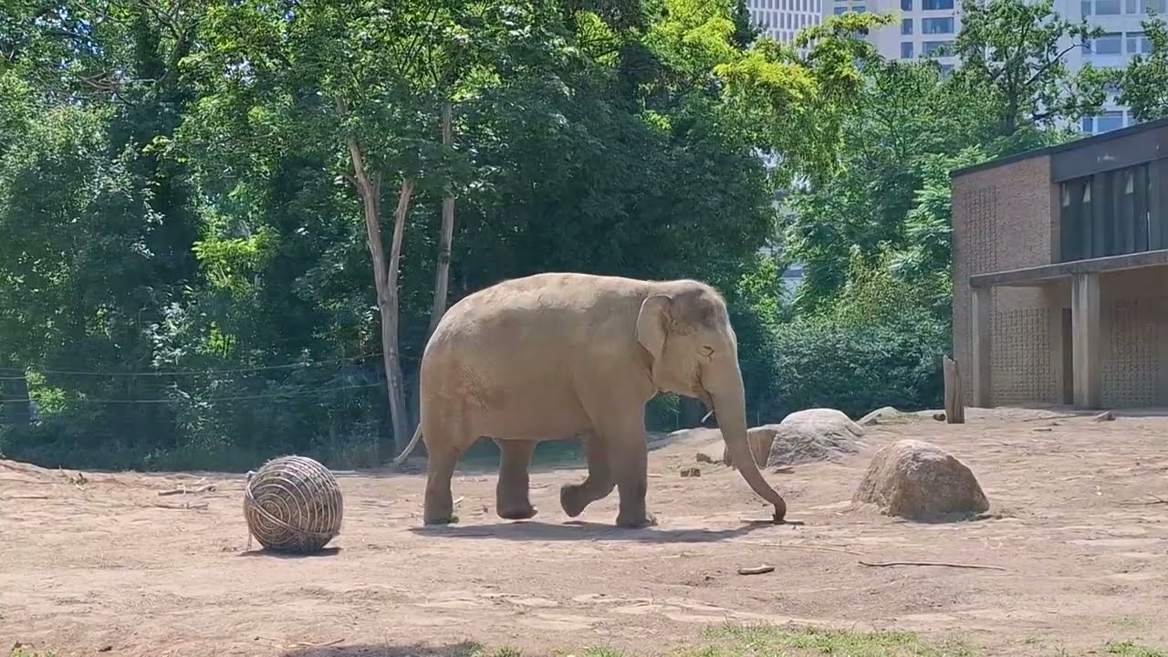 Berlin Zoo