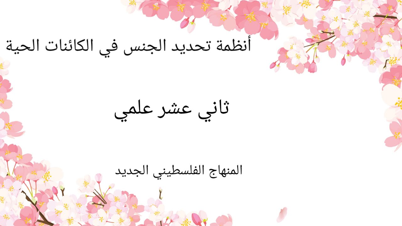 #أنظمة