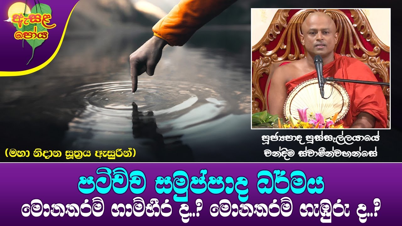 Ven Pussellayaye Chandima Thero 2023-08-01(පටිච්ච සමුප්පාදය මොනතරම් ගාම්භීර ද? මොනතරම් ගැඹුරු ද?)