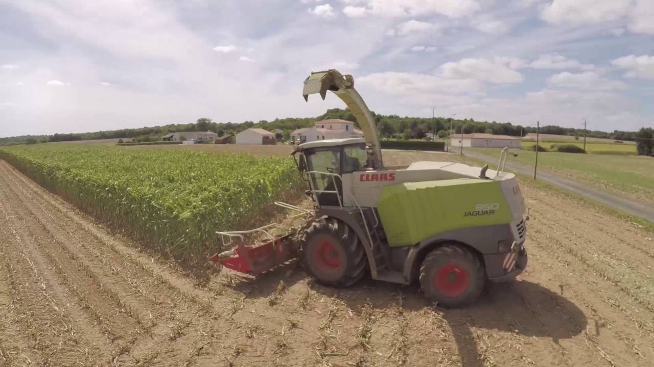 [GoPro/Phantom] * Ensilage de Mais 2016 CLAAS JAGUAR 950 *