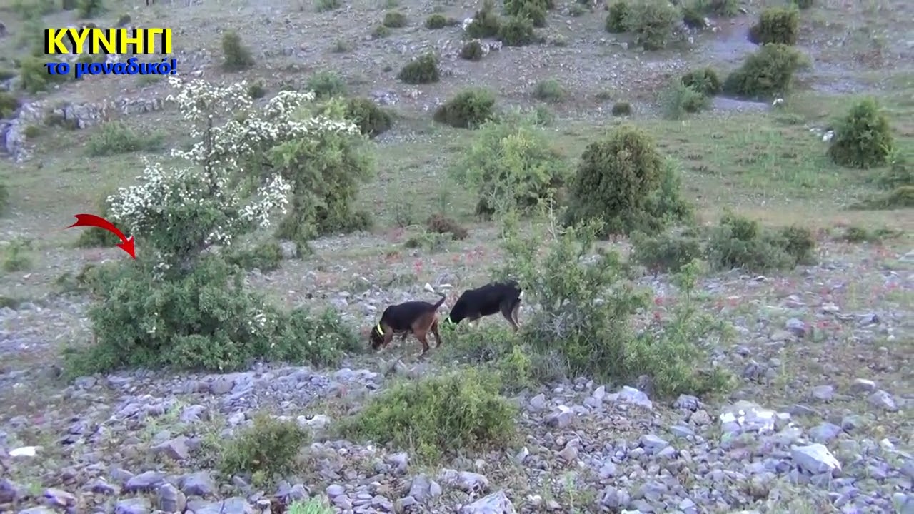 ΕΚΠΕΔΕΥΤΙΚΟ  ΒΑΛΤΕΤΣΙ   31 /5 /2025