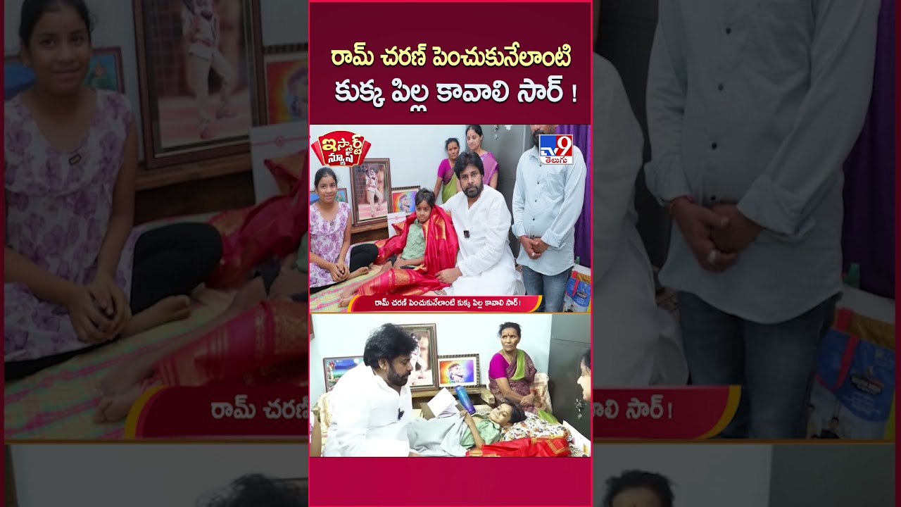iSmart News : రామ్ చరణ్  పెంచుకునేలాంటి కుక్క పిల్ల కావాలి సార్ ! | Pawan  Kalyan Met Niranjan -TV9