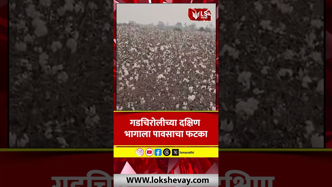 Gadchiroli Unseasonal Rain | गडचिरोलीच्या दक्षिण भागाला पावसाचा फटका #marathinews #breakingnews