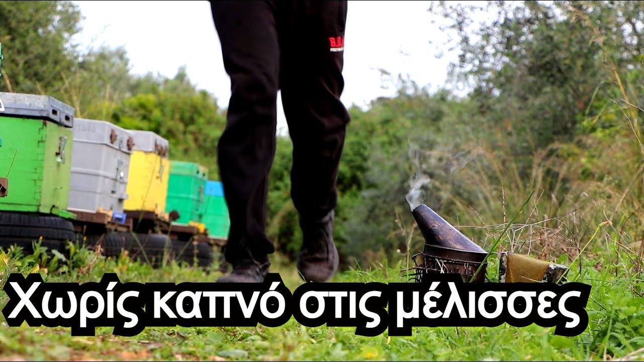 ΑΝΟΙΓΩ μελίσσι χωρίς ΚΑΠΝΟ: Πολύ επικίνδυνο....