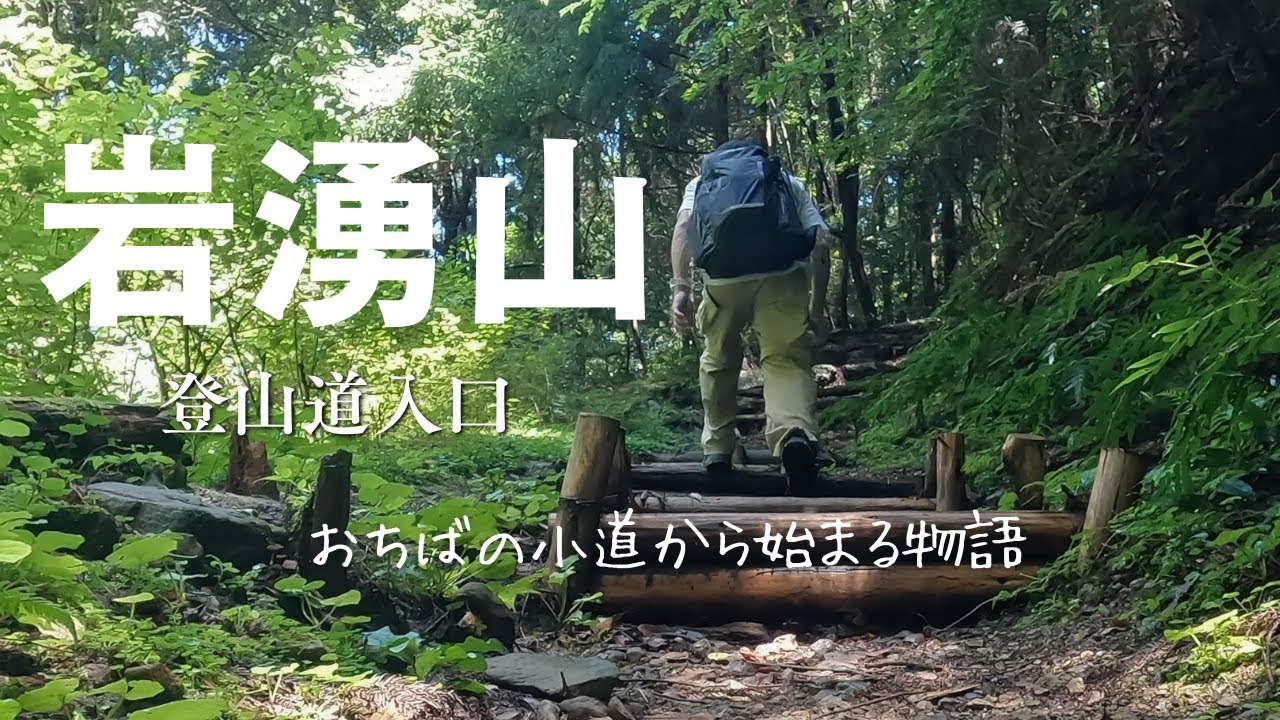 【岩湧山　登山道】おちばの小道から始まる登山｜岩湧の森四季彩館｜岩湧寺｜初心者登山｜ダイヤモンドトレール｜いわわきの道｜紀見峠｜大阪登山｜関西登山