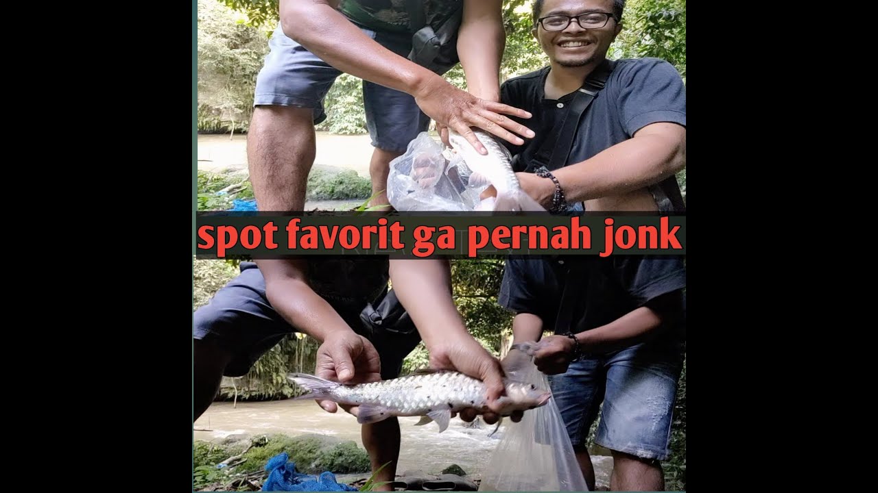 Mancing jurung di spot favorit selalu strike #jurung#laubiang#kabanjahe