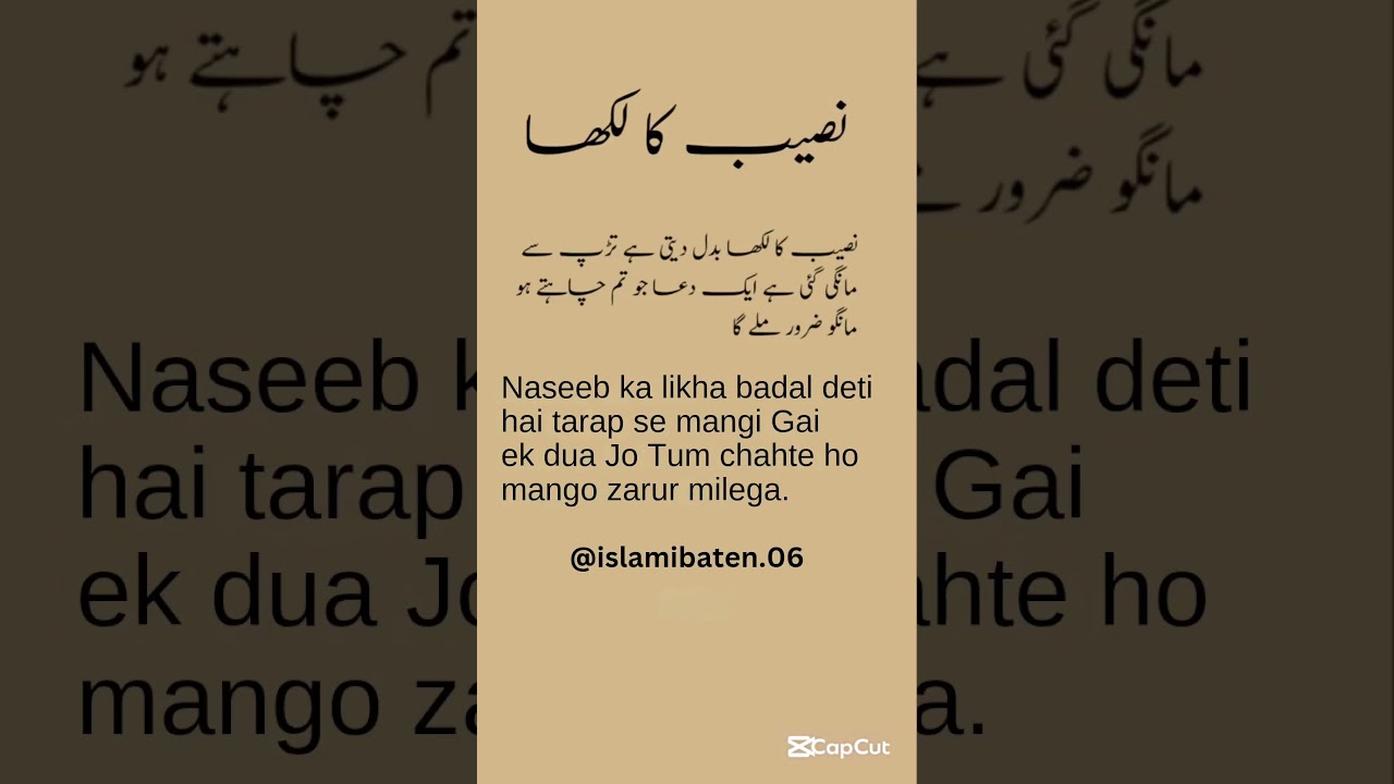 #islamicstatus #quotes #islamicpoetryinurdu #islami #shayari #unfrezzmyaccount #islamistories