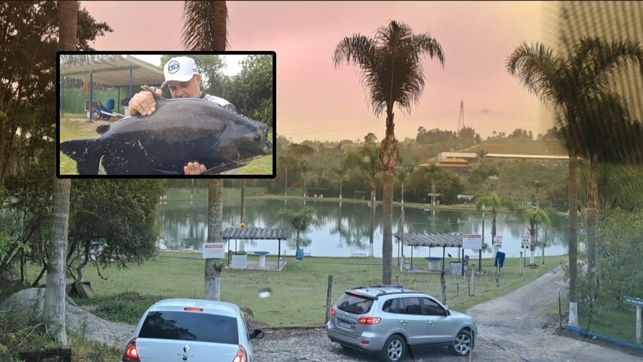 Pescaria top no pesqueiro do Mingão! | Paraiba Pescas Oficial 