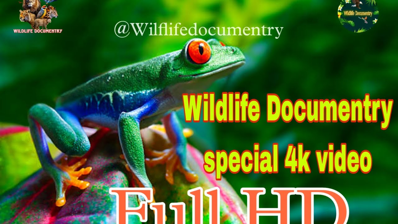 Wildlife Full HD 8K video... @Wildlifedocumentry @bbcearth