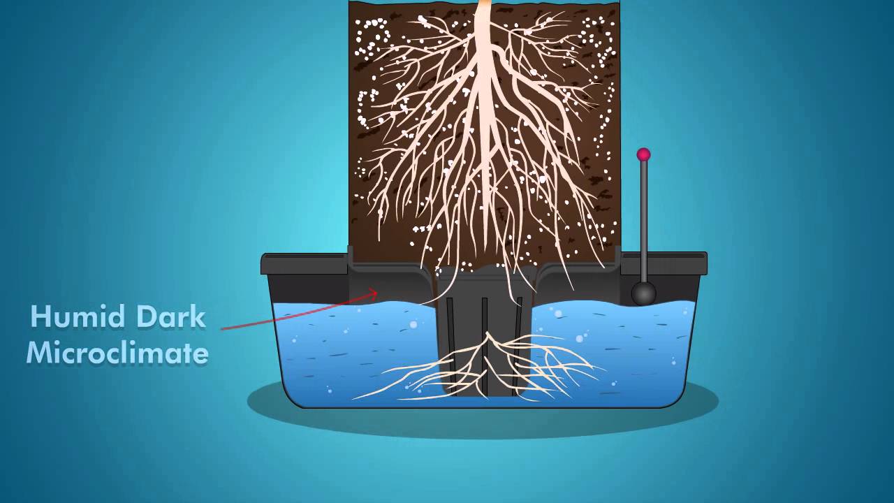 Octopot Soil Hydro Hybrid Grow Systems - Better than DWC Systems or Ebb and Flow Growing Systems
