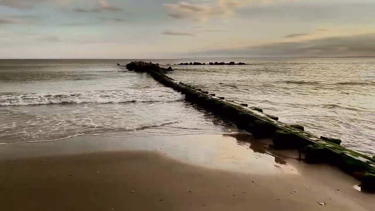 Coney Island: Wednesday Morning 10:58 AM 