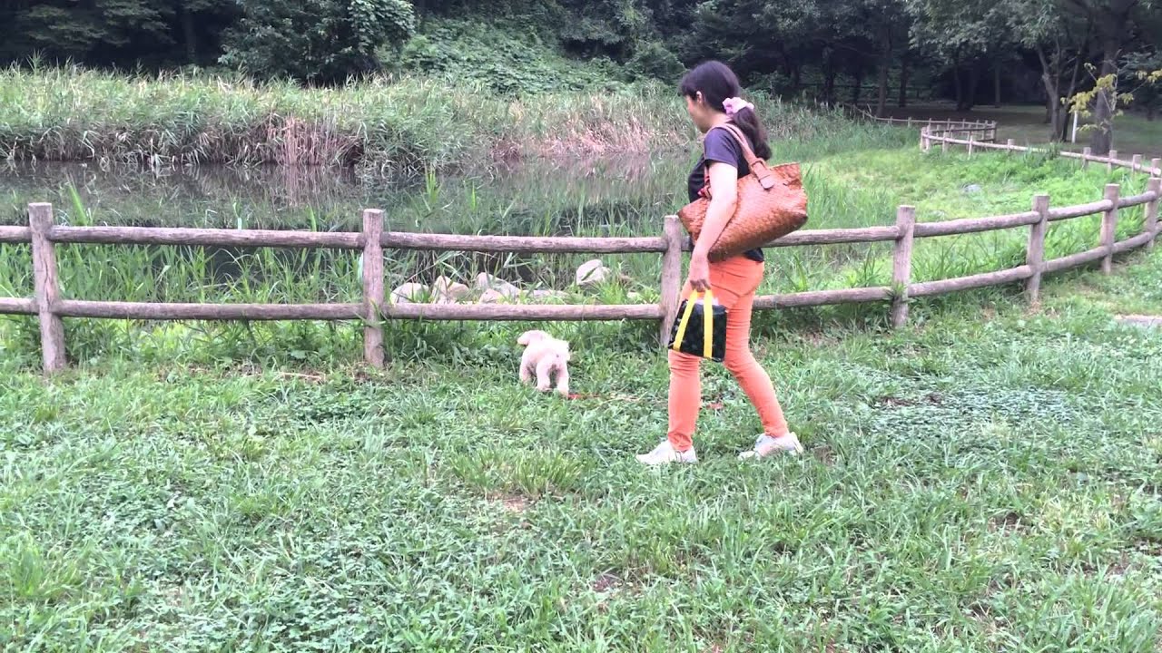 北八朔公園