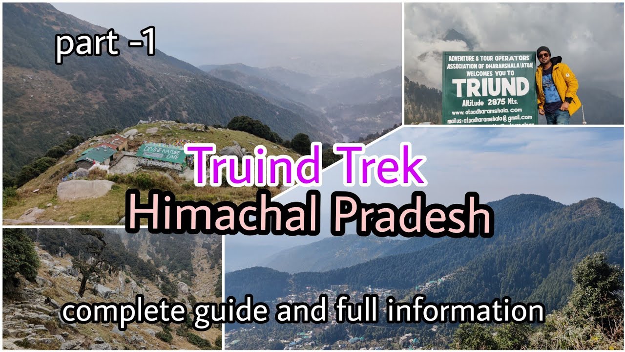 Truind Trek |  Dharamshala Mcleodganj | Himachal Pradesh | Gallu temple, Naddi | solo trip