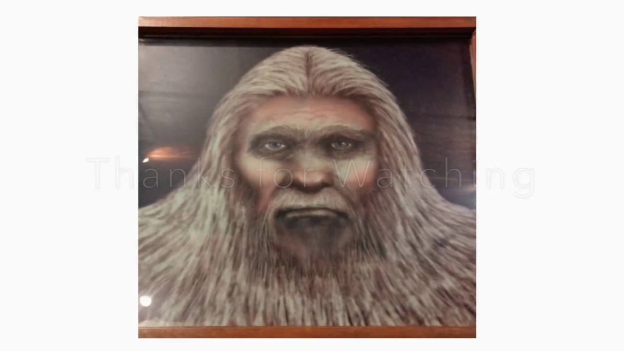 Sasquatch in the Taconic Forest (Bigfoot in western Mass)