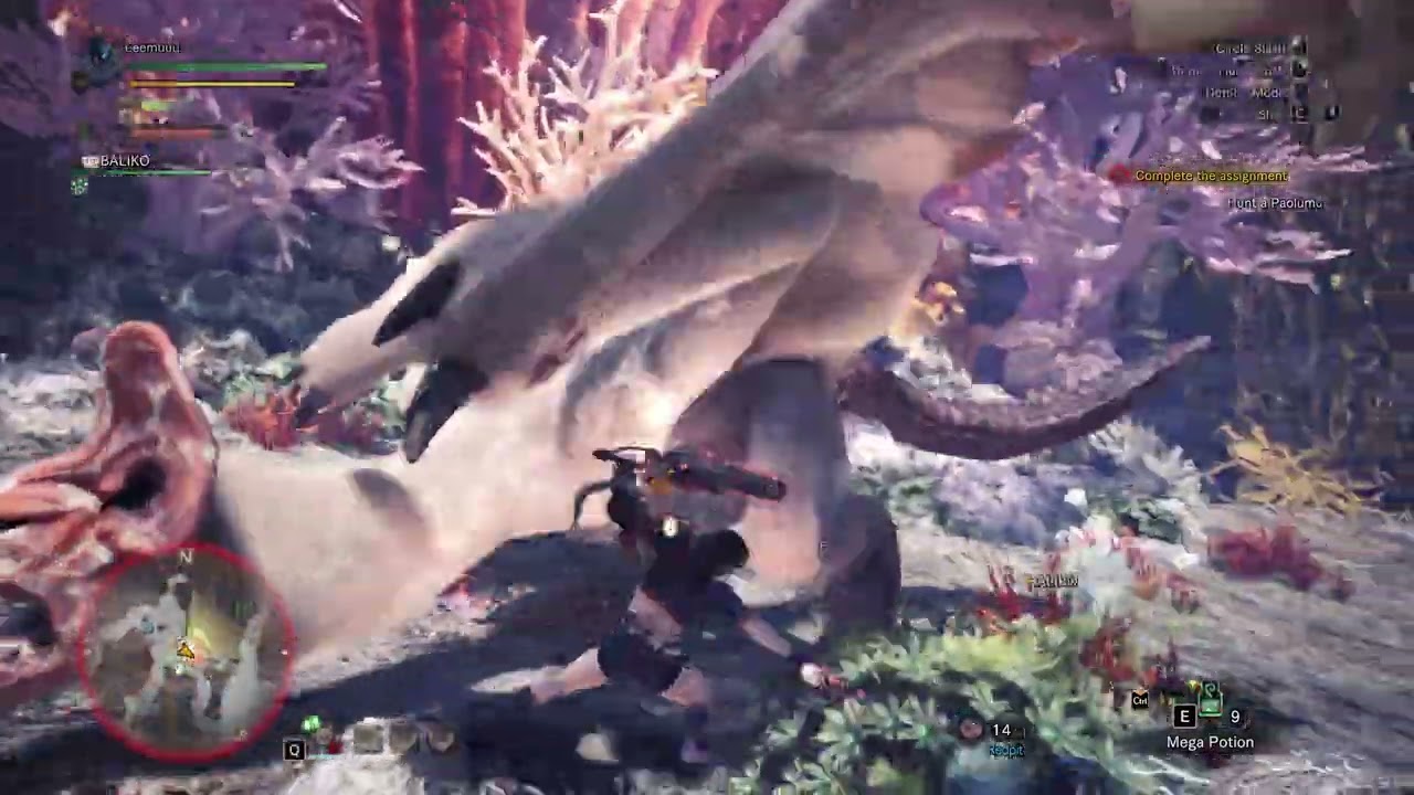 Beating paolumu without armor!