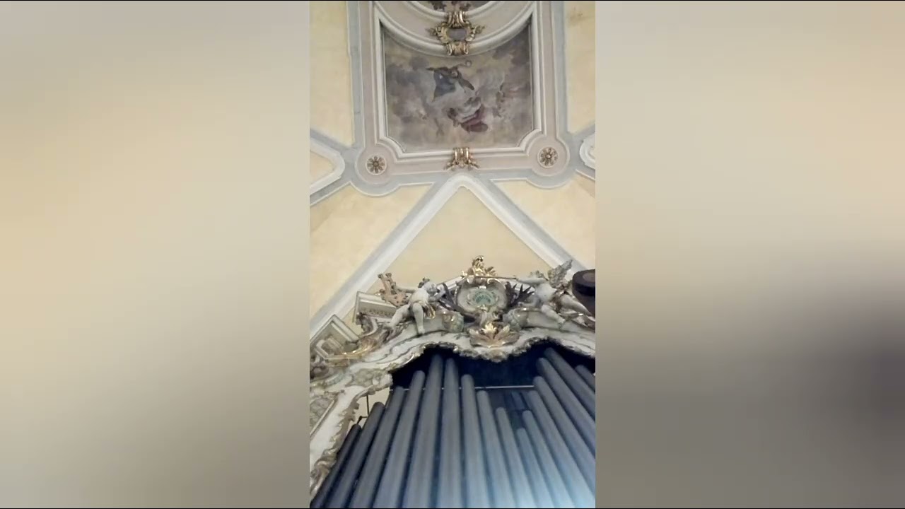 L' organo a canne di Badia Polesine (Rovigo) 