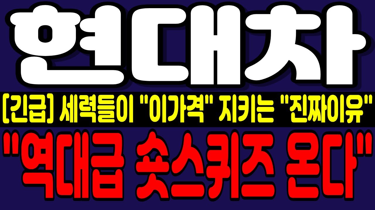 [현대차 주가전망] 자사주 소각 확정!! + 지금의 횡보 