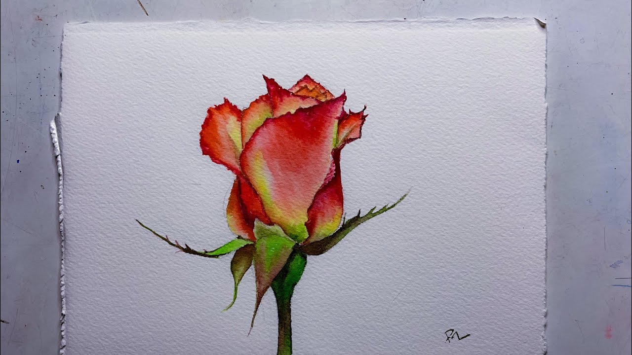 How To Paint A Watercolor Rose | A Demonstration For Beginners