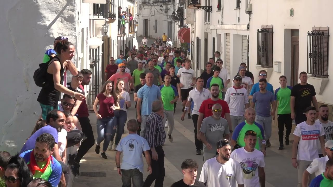 GAUCÍN  TORO DE CUERDA 2022
