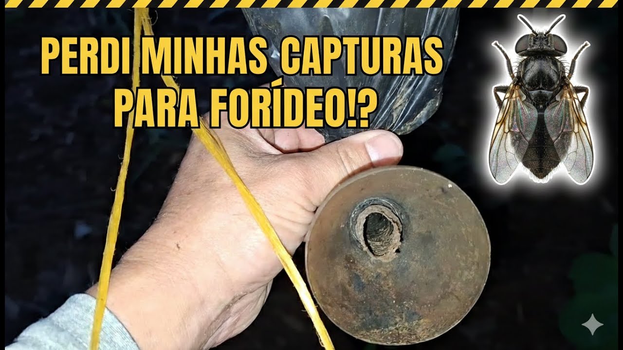 Perdi minhas capturas para Forídeo?
