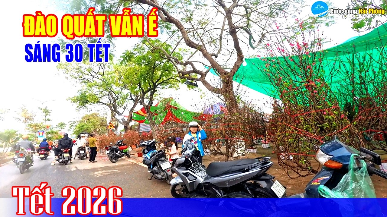 30 Tết đường phố rộn ràng, đào quất trên đường Lê Hồng Phong vẫn ế