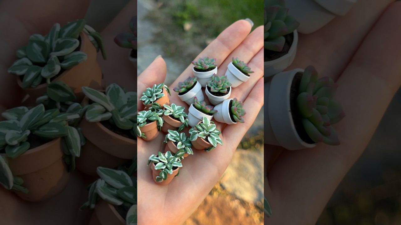 2 days of making miniature plants in 30 seconds #polymerclay #succulents #pothos