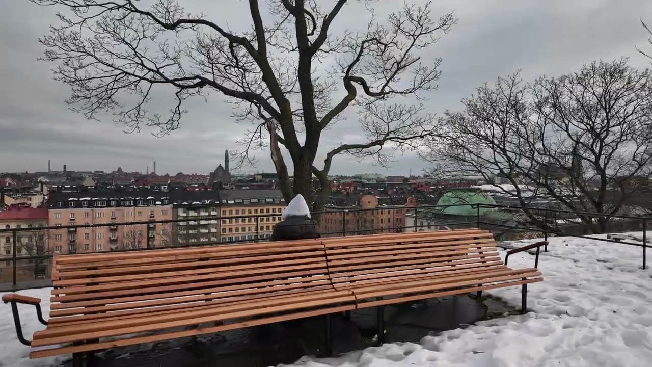 Stockholm Park walki in the City Centre Winter Walk ❄️🇸🇪 4K Snowy Streets & Nordic Atmosphere