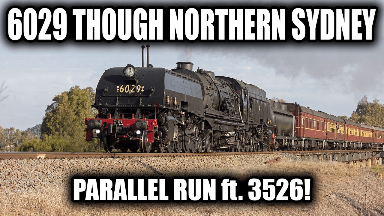 Parallel Run with 6029 Through Northern Sydney - Ft. 3526 | Steamfest Flyer 2024