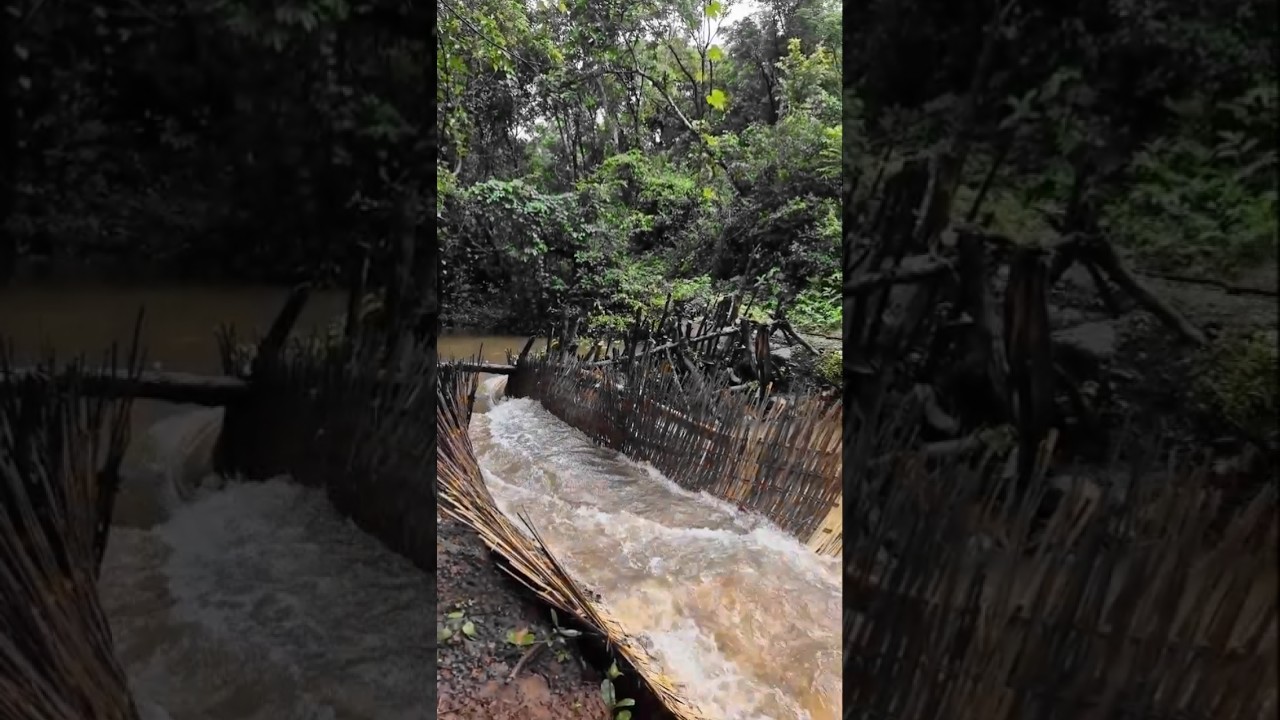 मासे पकडण्यासाठी नदीमध्ये घातलेलं बांधण | kokan darshan | konkan waterfall