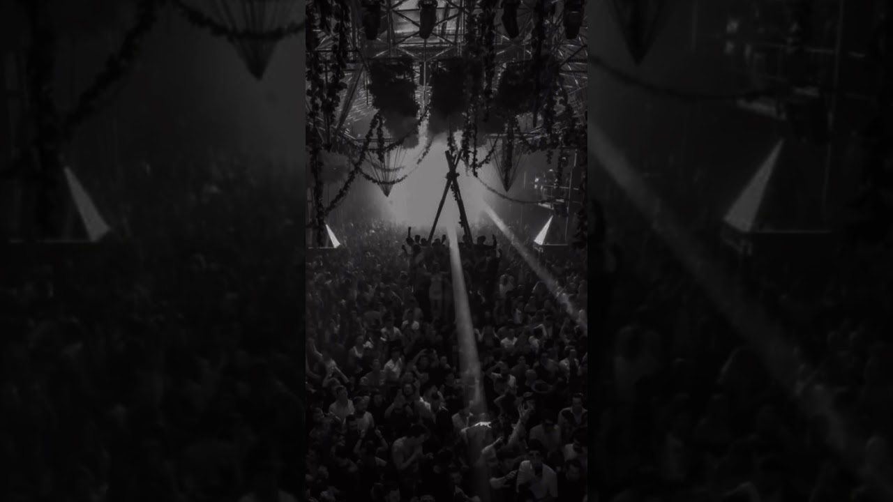 Come to reality 📊📈📉