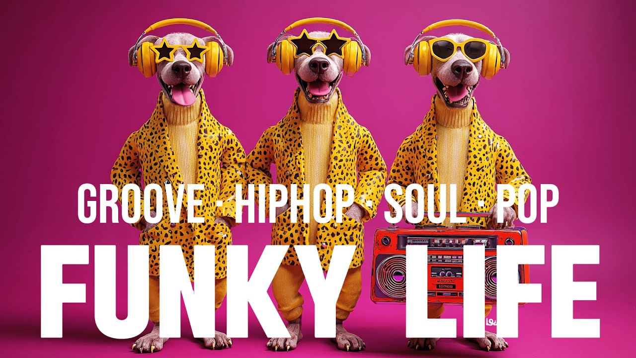 [Playlist] 🎶 멈출수 없는 펑키바이브! 오늘 하루 개신남!😎| Funk · HipHop · Soul