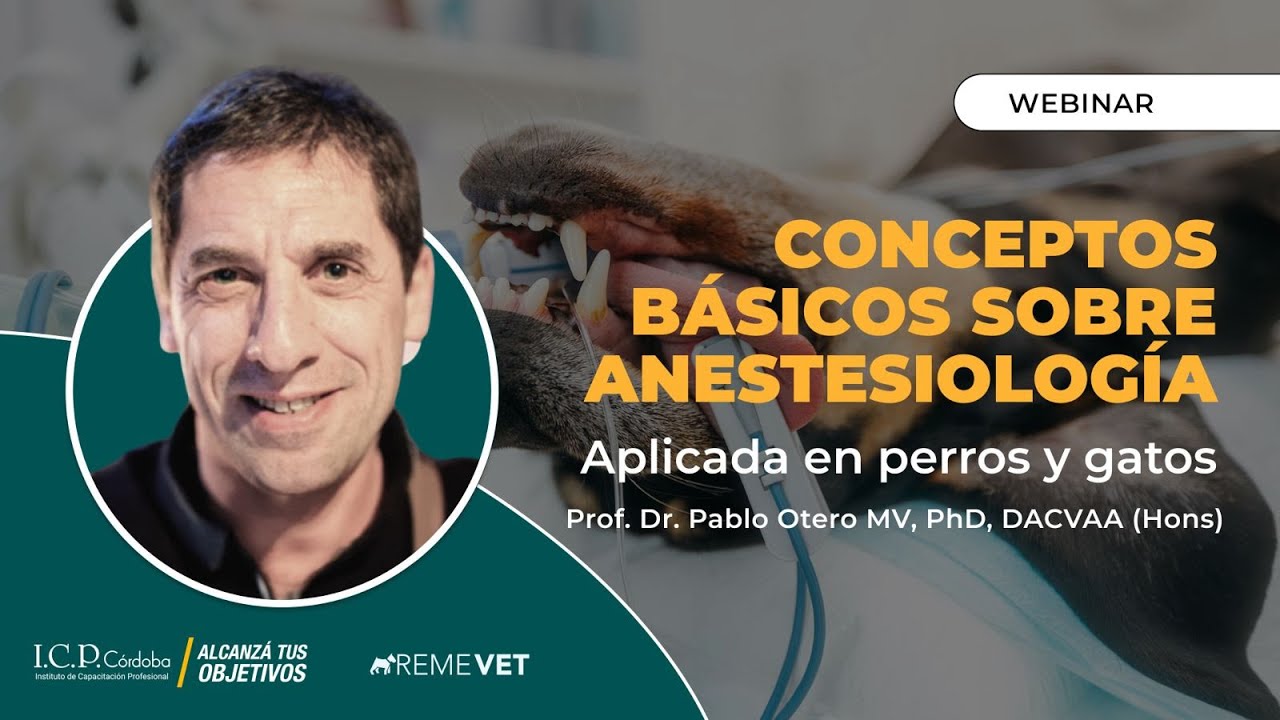 Conceptos básicos sobre anestesiología en perros y gatos | Webinar con M.V. Esp. Pablo Otero