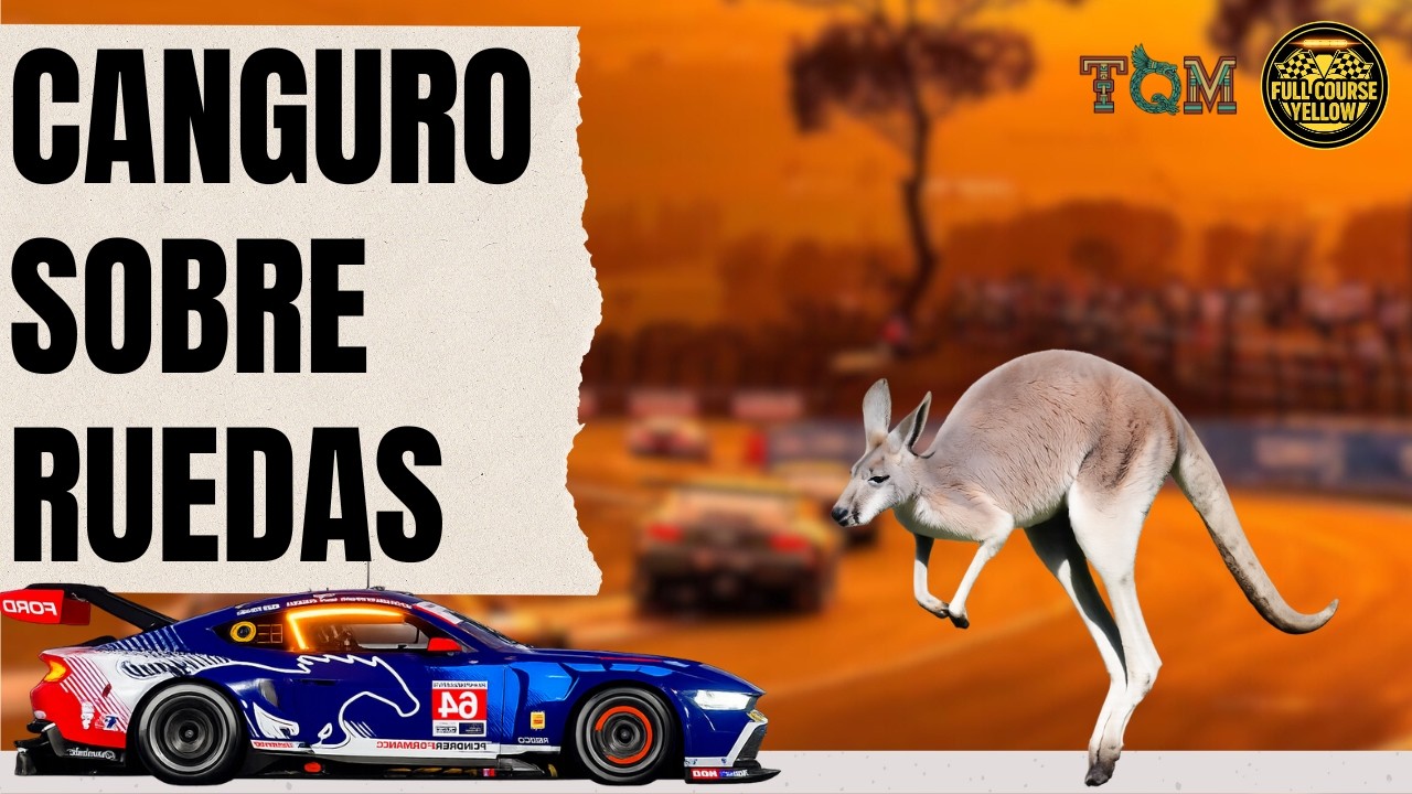 FULL COURSE YELLOW-CANGURO SOBRE RUEDAS