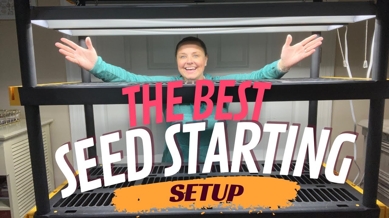 My INEXPENSIVE, DIY Seed Starting Setup Perfect For ANYONE!