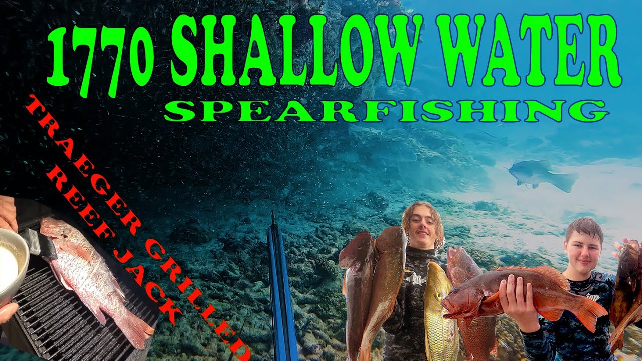 Agnes water 1770 exploring Shallow water spearfishing Trout, Reef jack Traeger Grill Catch and Cook