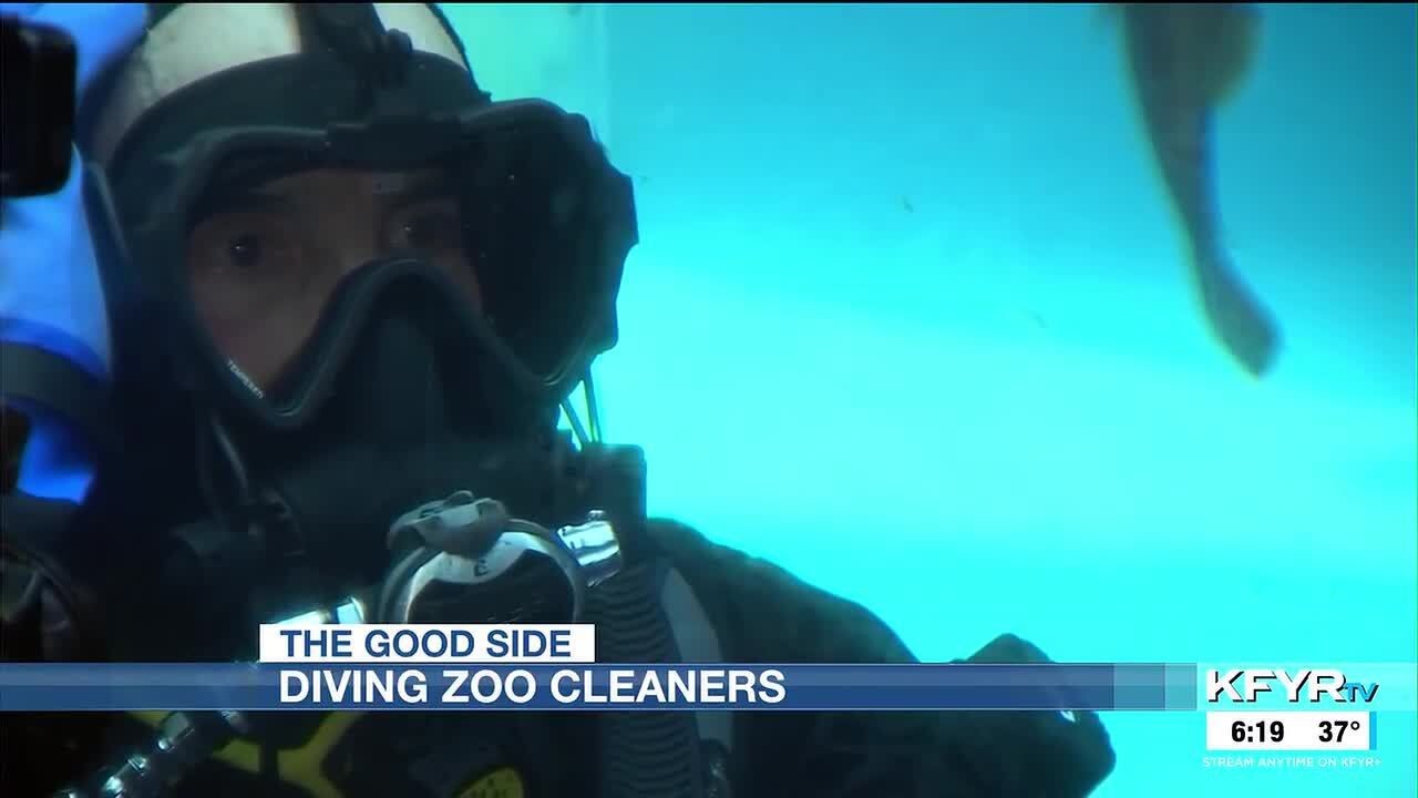 The Good Side: Diving zoo cleaners