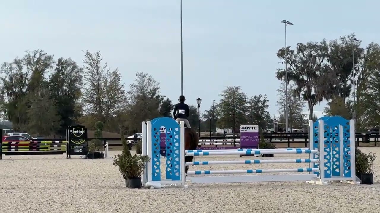 WEC Cup qualifier- 3rd out of 18