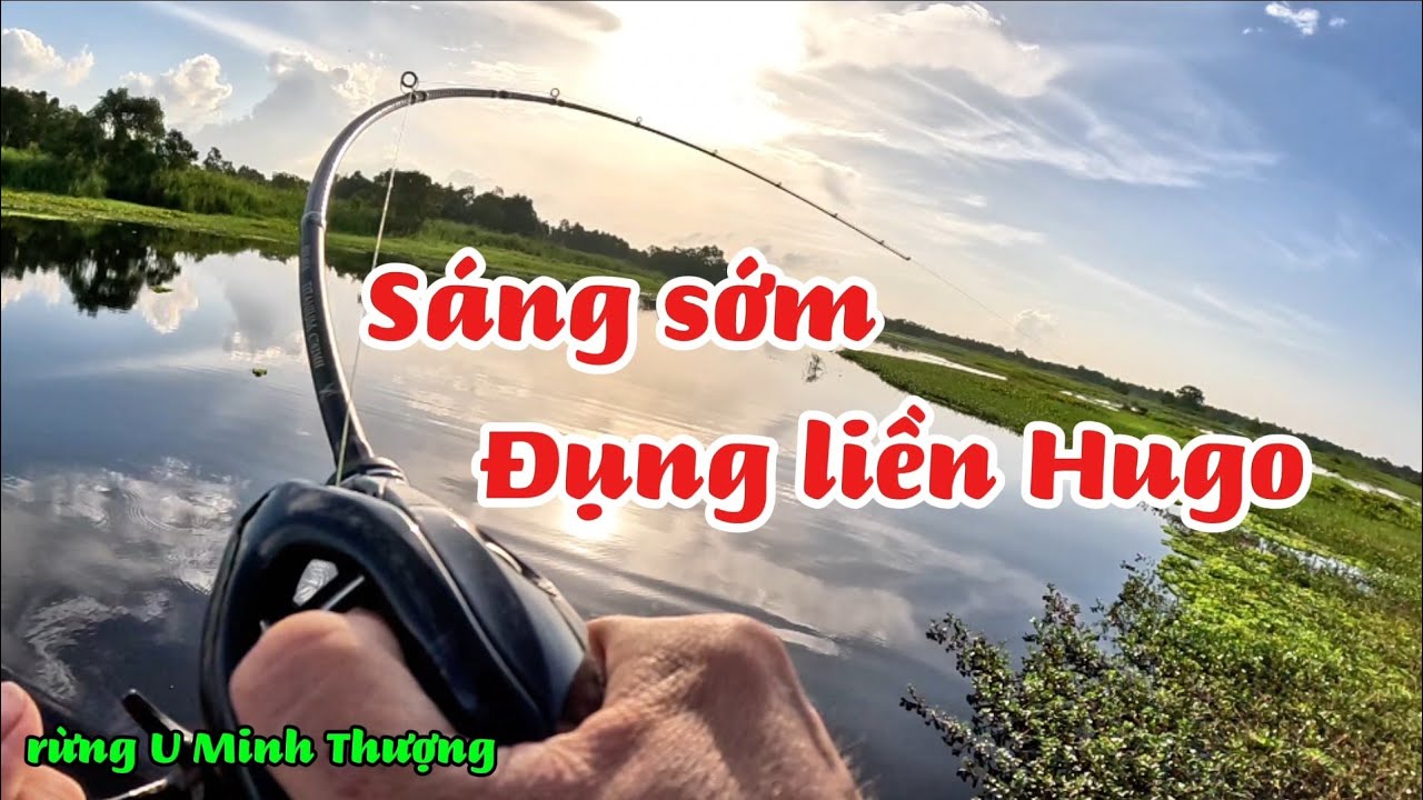Câu cá rừng U Minh Thượng #huukhuynhkiengiang (tập 206)