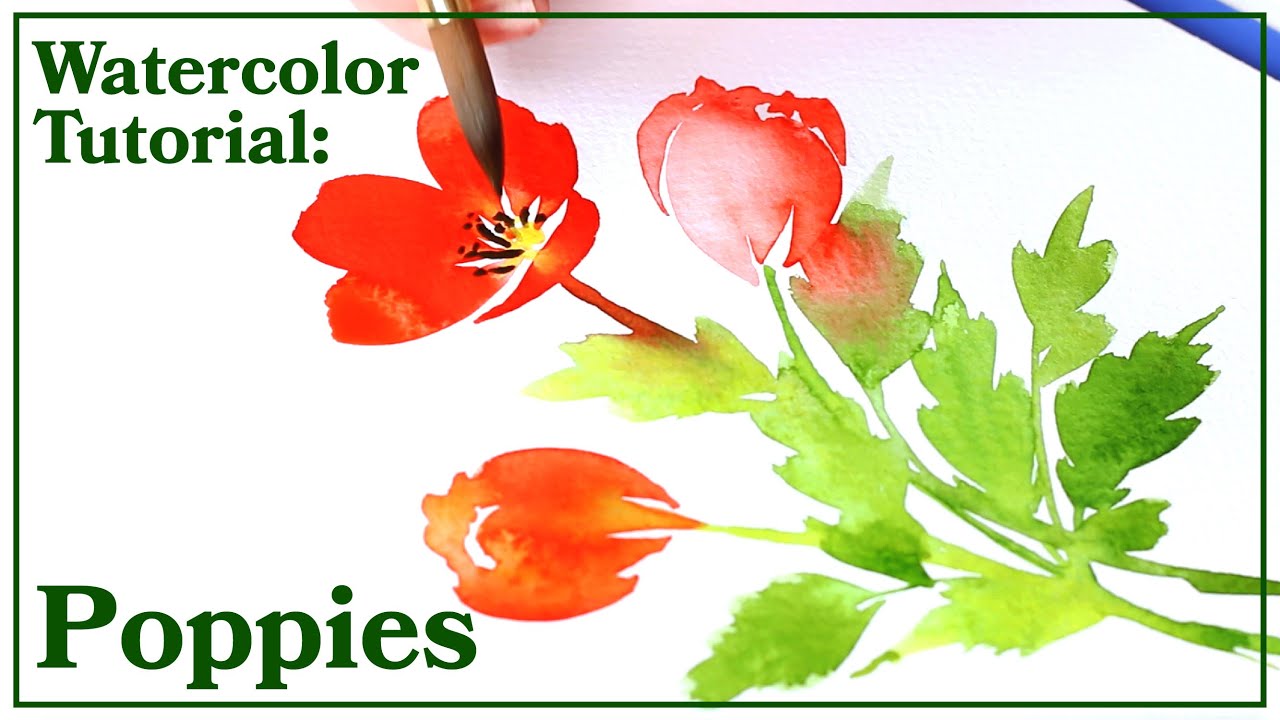 Watercolor Tutorial | How to Paint Poppies!