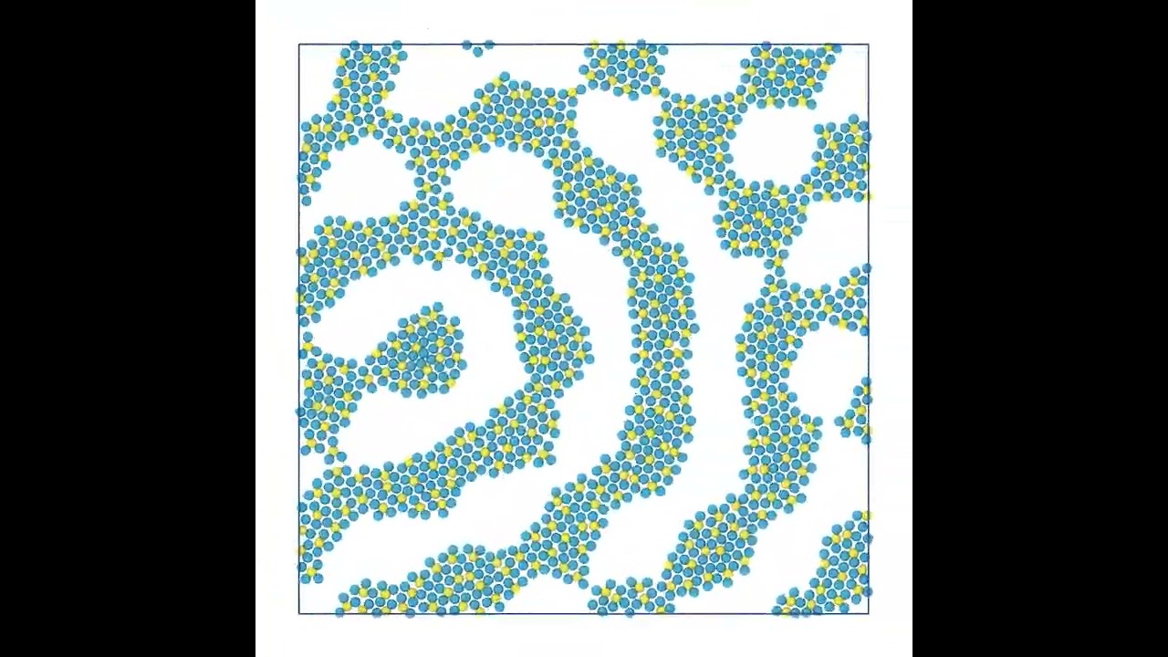 Linked core-corona particles Self-Assembly: stripes