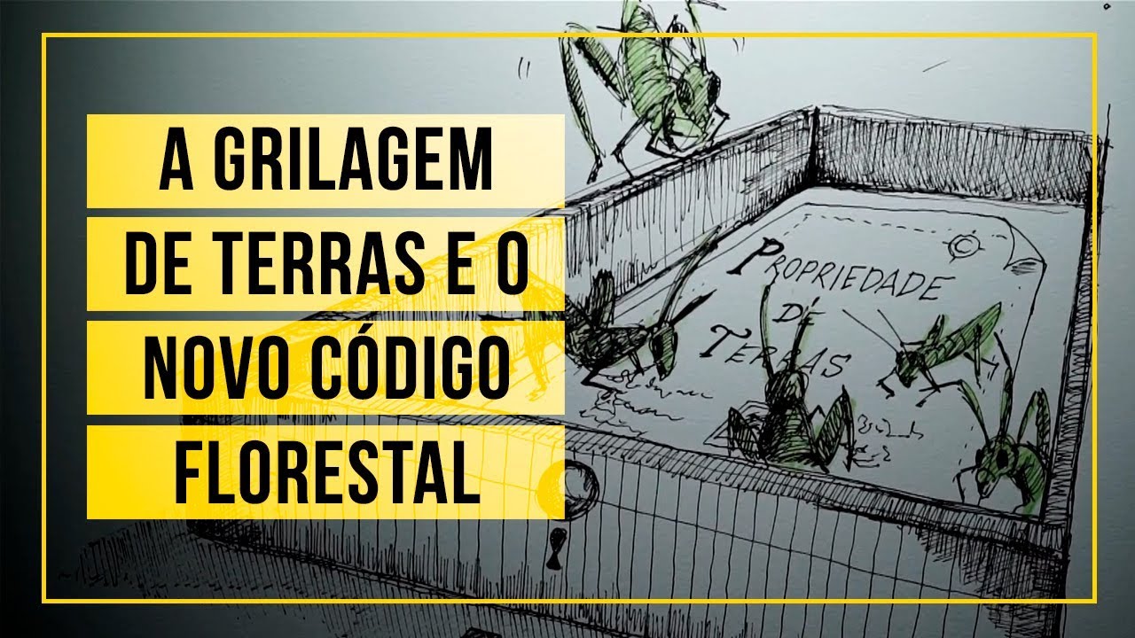 A grilagem de terras e o Novo Código Florestal em 3 minutos