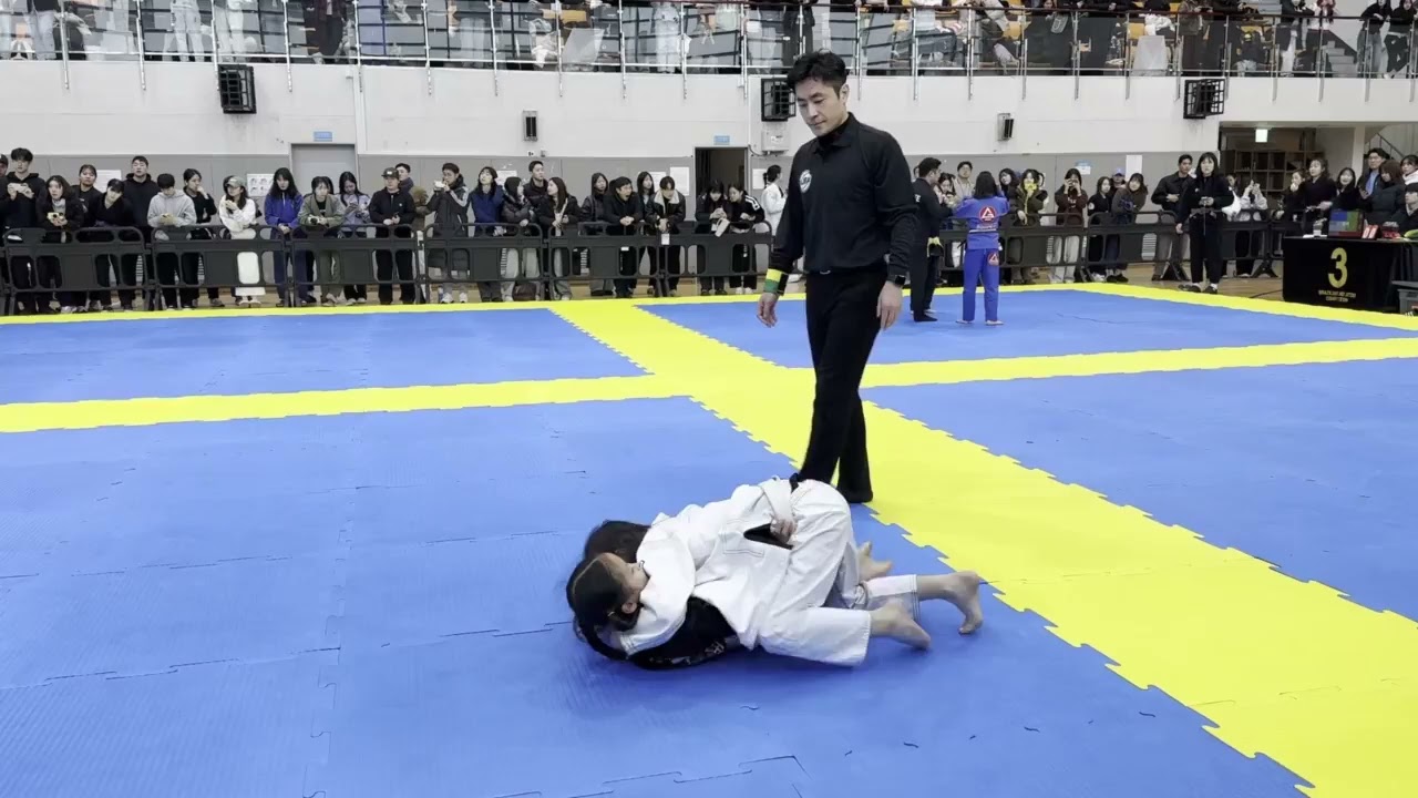 린짓수 3