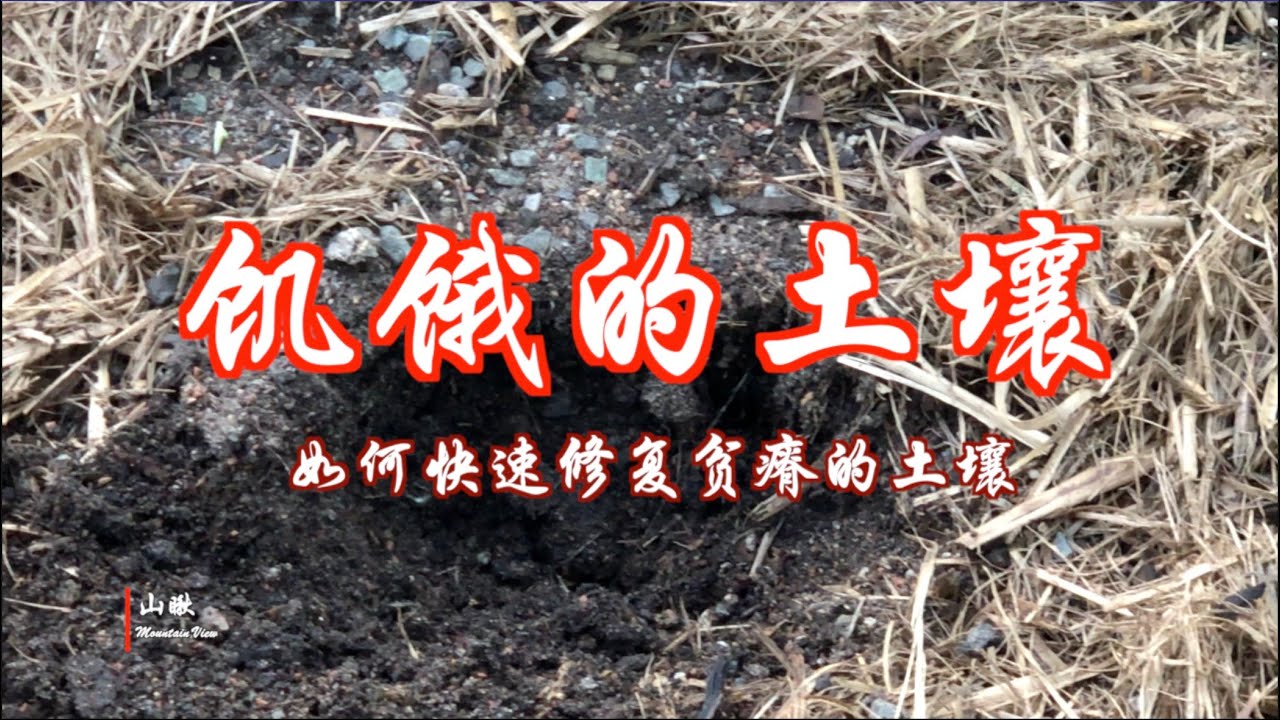 饥饿的土壤-如何快速修复贫瘠的土壤(第57期) How to rapidly improve poor soil (Ep57)