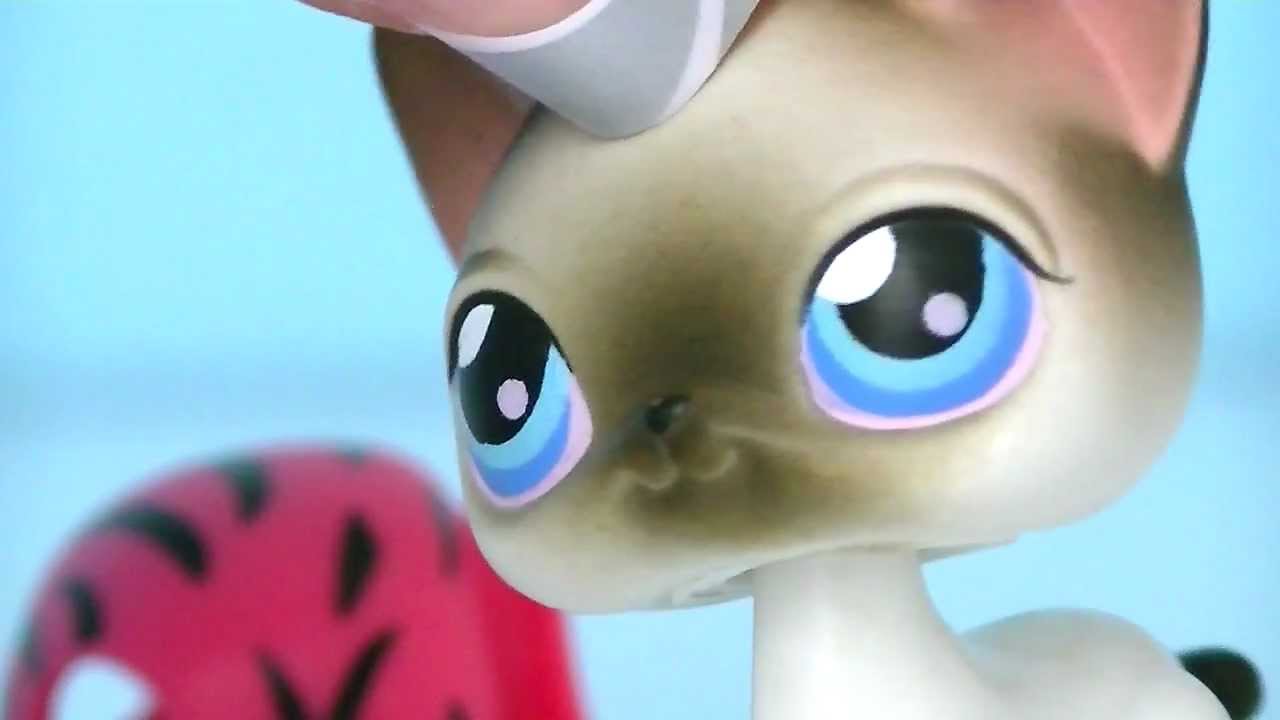 LPS: Bully School (Part 1 - Meeting the Trouble) | LPSskittles