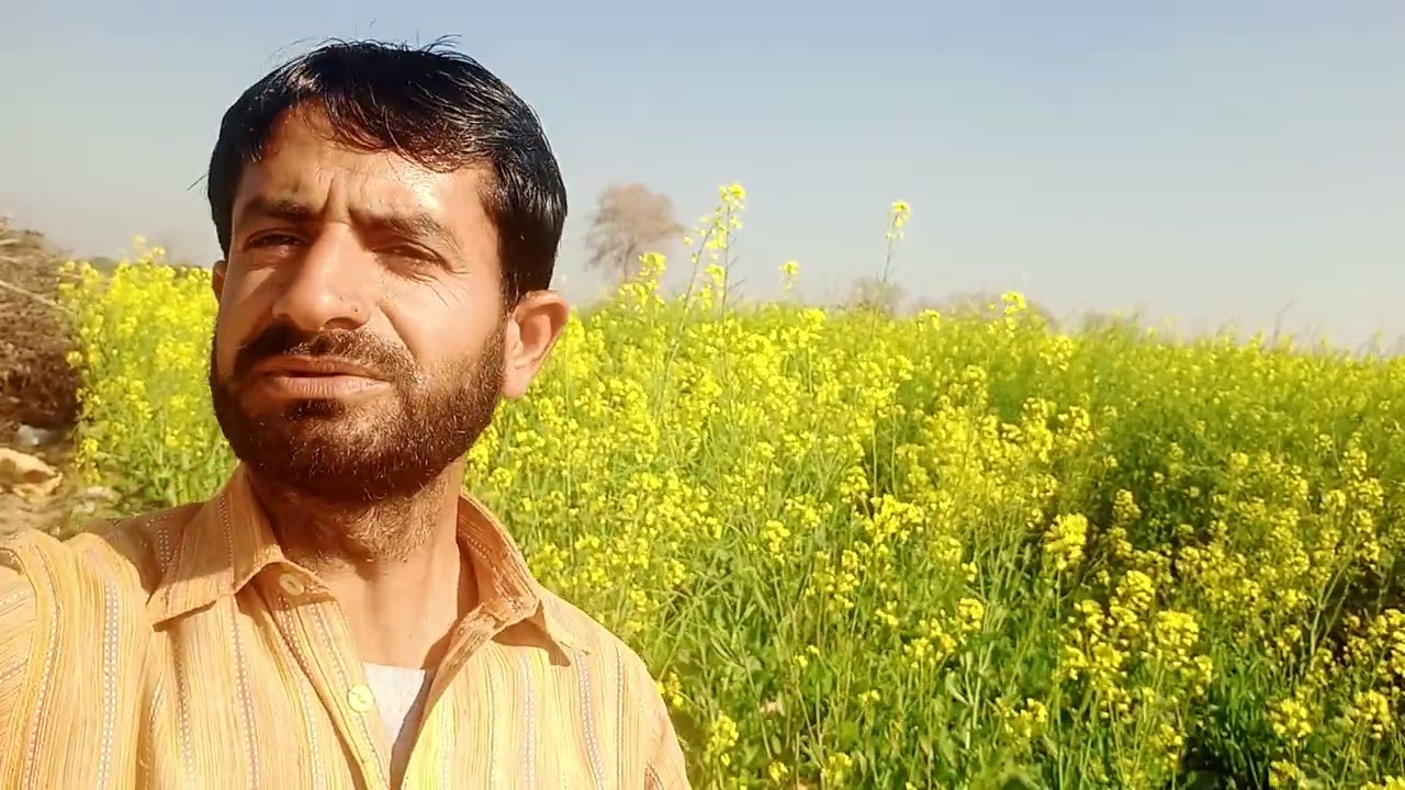 یہاں انصاف بکتا ہے#وا رے میرے ملک تیری #vilog #ansaf #pakistan#adalt