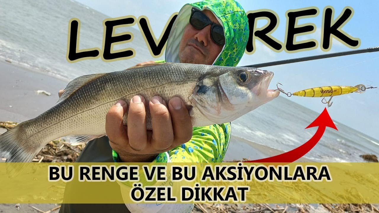 Atçek Levrek Avı... Herkesi ilgilendiriyor... Bu renge ve bu aksiyonlara özel dikkat...