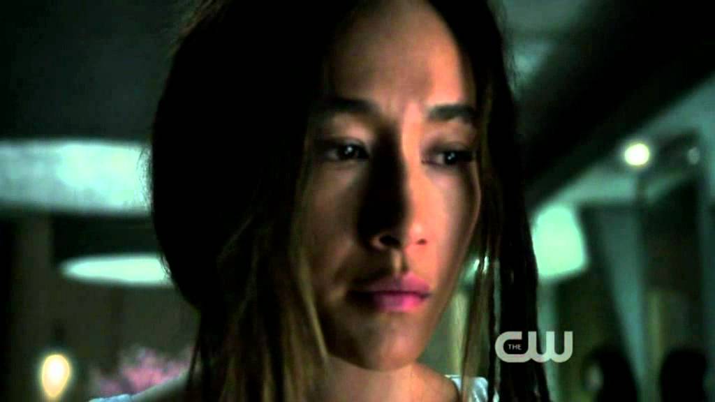 Nikita 2x15 - Nikita & Michael's flashbacks