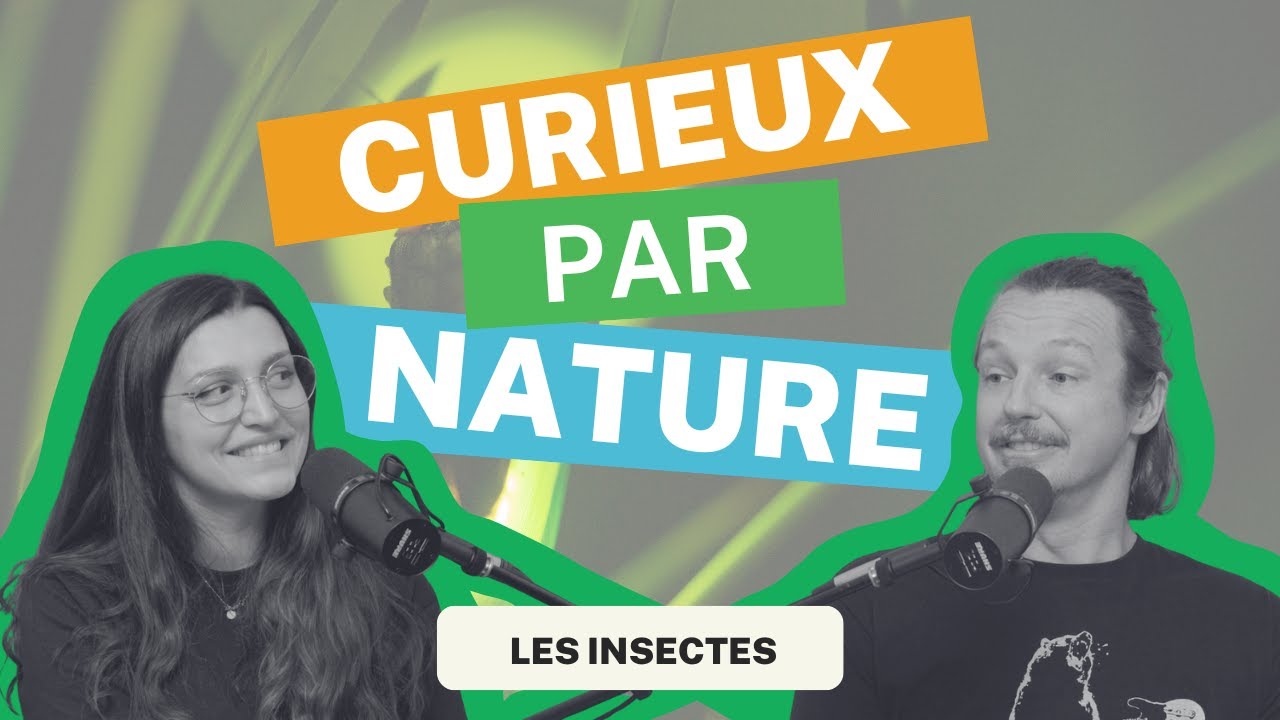 Curieux par Nature - Épisode 1: Le monde des insectes