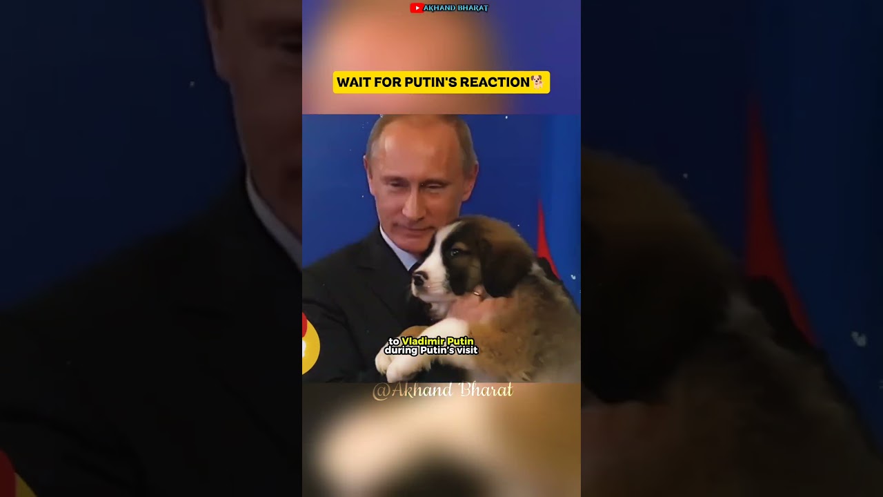 Подарите Путину 🇷🇺 собаку 🐕, и она останется с ним навсегда. 💚 Путин и Баффи